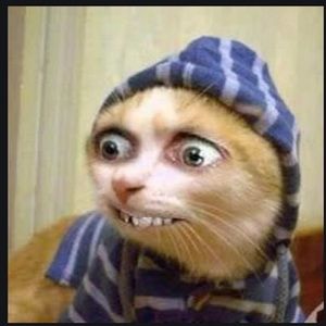 Meet your Posher, Montrell